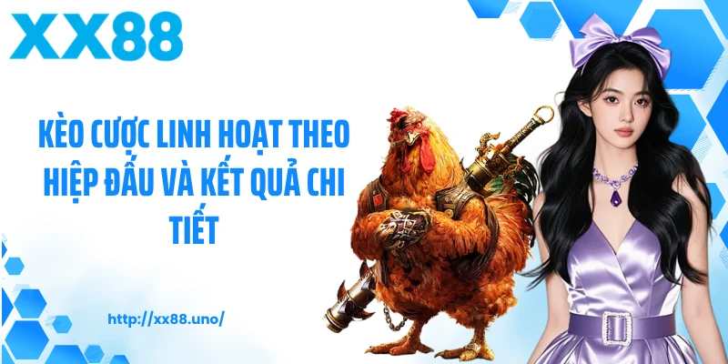 Kèo cược linh hoạt theo hiệp đấu và kết quả chi tiết